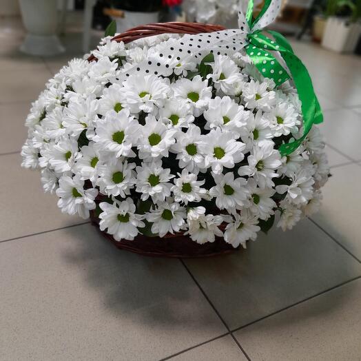 Cesta de manzanilla de crisantemo