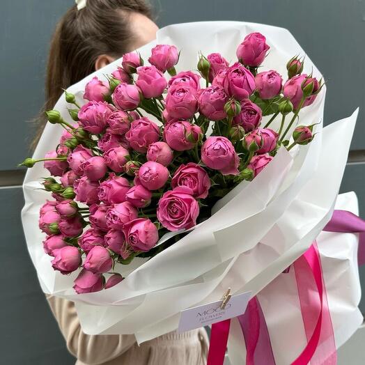 Rosa de peonía arbustiva