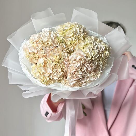 Monobloque de 5 hortensias tiernas