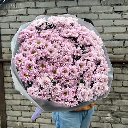 Хризантемы 🌸