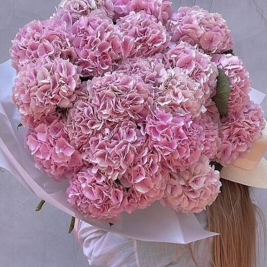 Boquet of pink hydrangeas