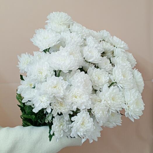 Bouquet of white bush chrysanthemums