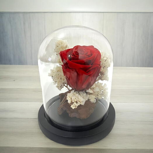 Timeless Rose- Timeless Preserved Red Rose in Glass Dome – Lasting Beauty