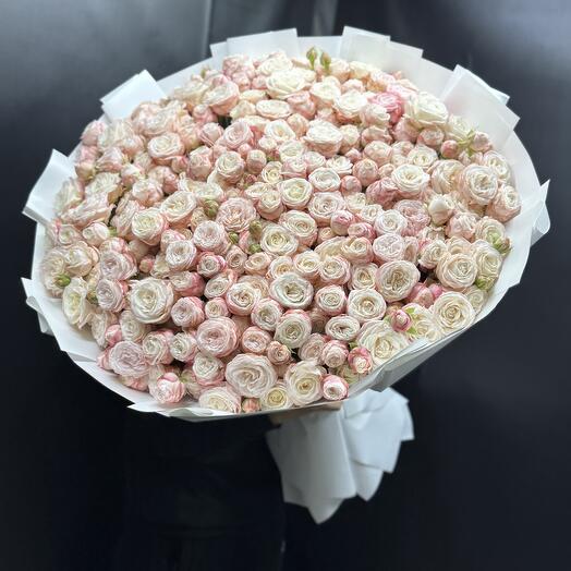 Роза кустовая