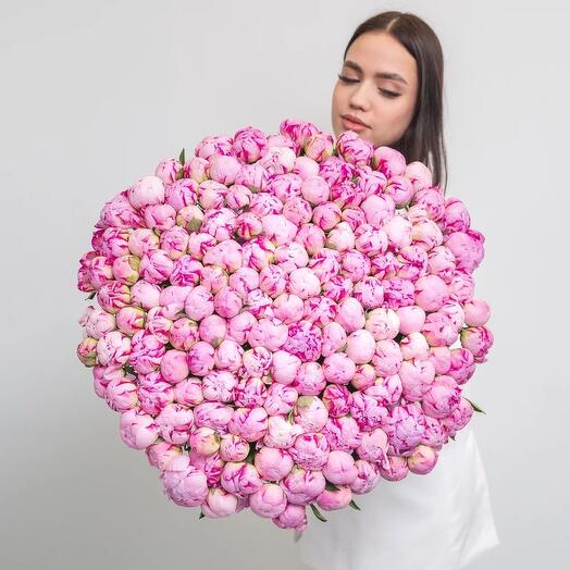 101 пион