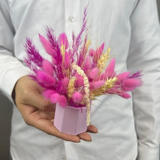 Композиция с лагурусом