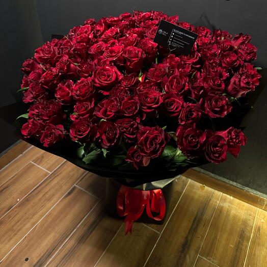 Signature Big Red Rose