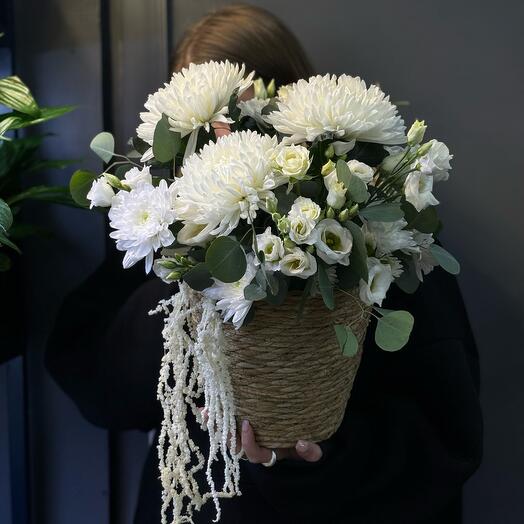 Корзина с сортовой хризантемой