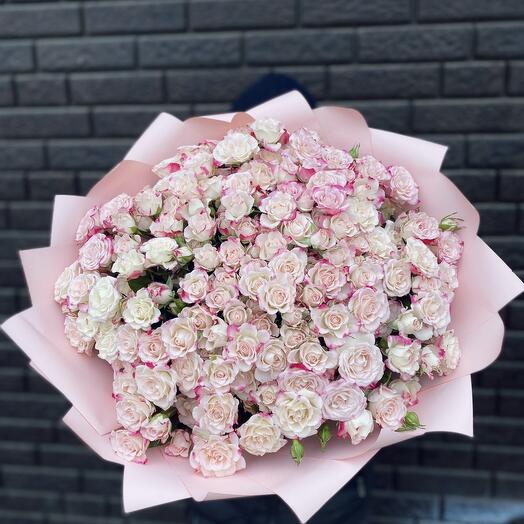 41 delicate spray roses