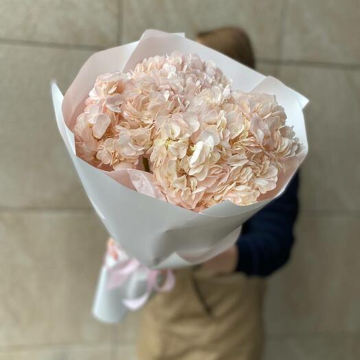 Delicate bouquet of hydrangeas