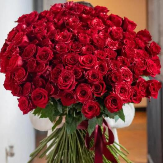 100 Rose