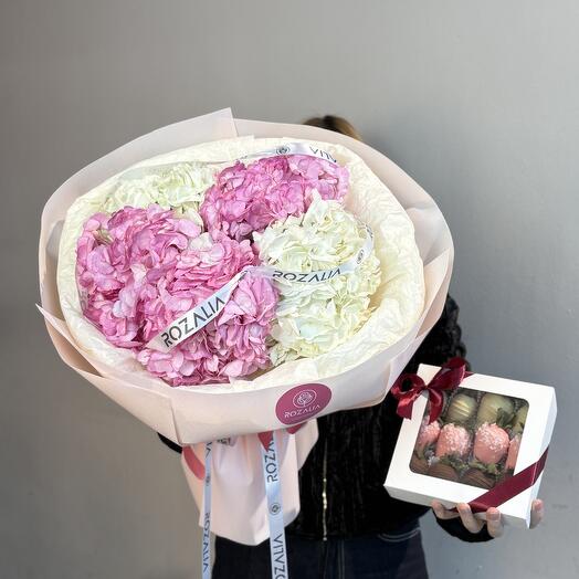 Королевская гортензия нежна комбо