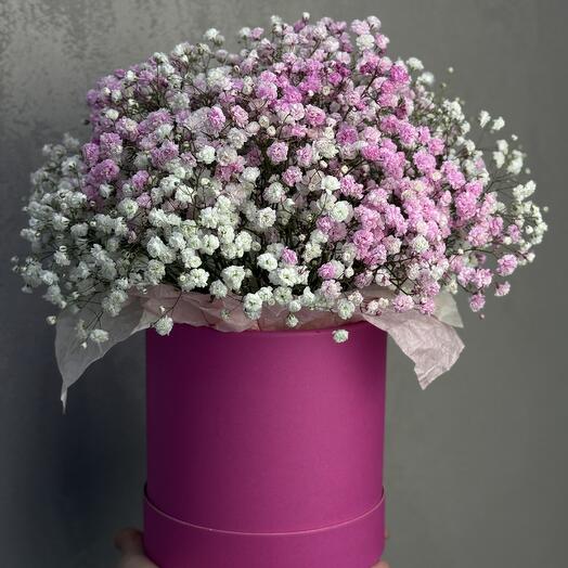 Flores en una Caja de gypsophila