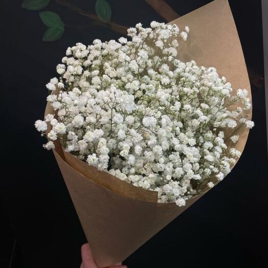 Воздушная гипсофила 5 шт