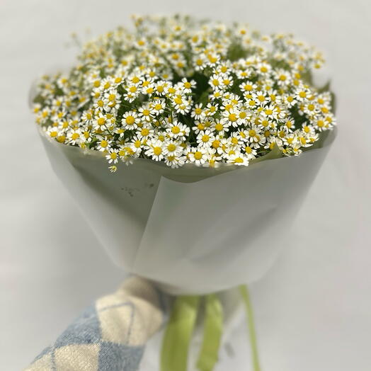 Букет из ромашек 022