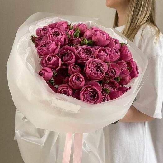 Misty bubles cespuglio di rose