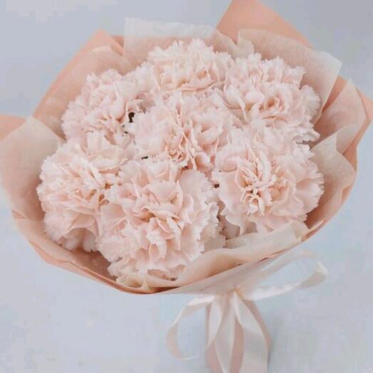 Ramo de 7 Dianthus
