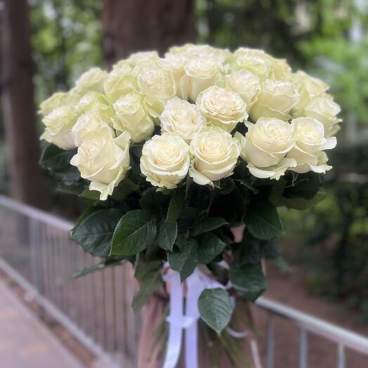 Голландские розы «мондиаль»