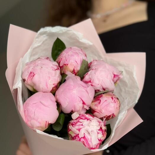 Букет пионов 7 шт ( Сара Бернар)