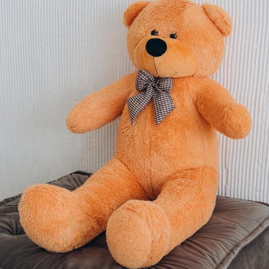 Big red teddy bear 160 cm