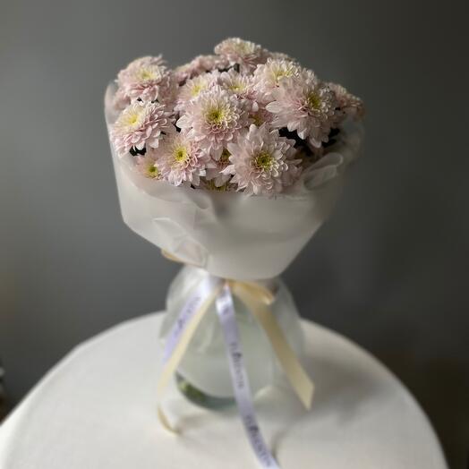 Chrysanthemum pink 5