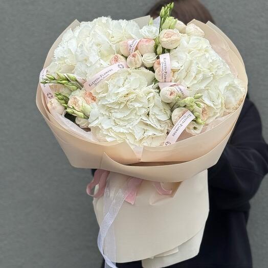 Гортензия с пионовидной кустовой