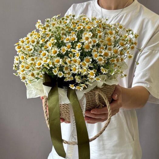 Корзина с ромашками