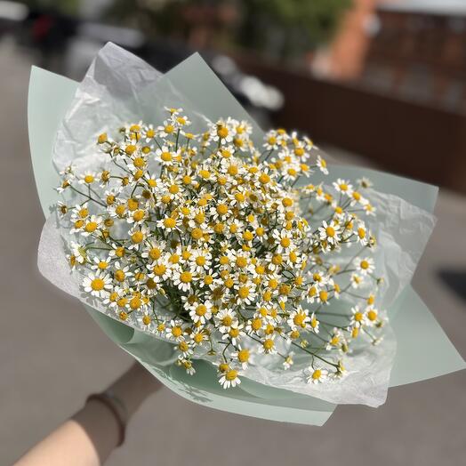 Монобукет из 9 веток ромашки