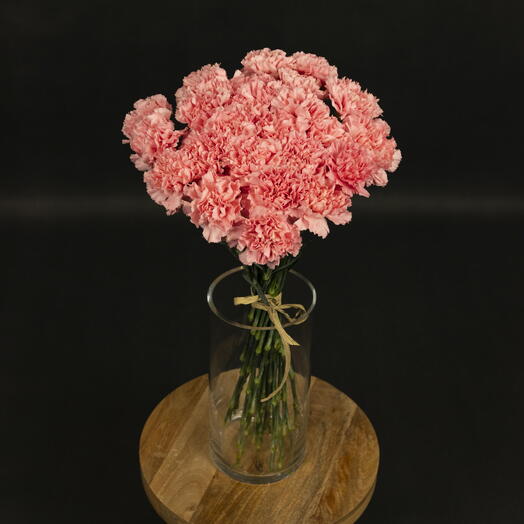 25 çəhrayı karanfil