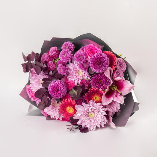 Dahlia Chrysanthemum Delight