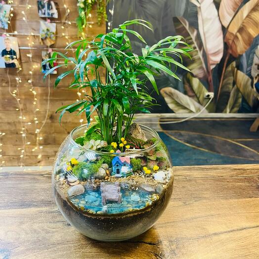 Флорариум с лиственными растениями