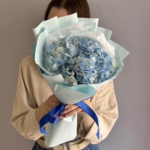 Голубая гортензия в упаковке