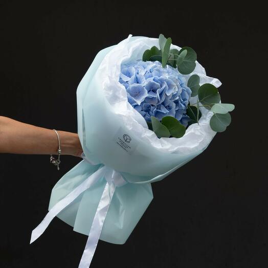 Букет из голубой гортензии "Aurora Blue"