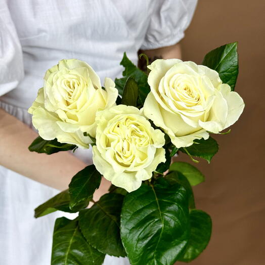 Белая роза Мондиаль Mondial 3 шт