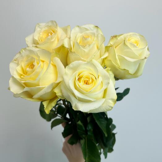 Монобукет из белых роз под лентой, 5 штук