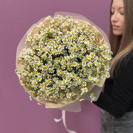 «Солнечные ромашки» 🌼
