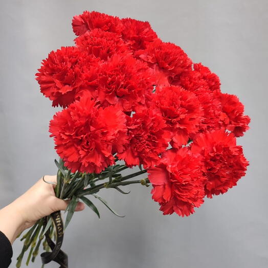 16 красных гвоздик