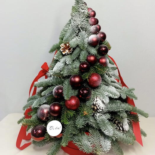 Новогодняя композиция из живых веточек нобилиса