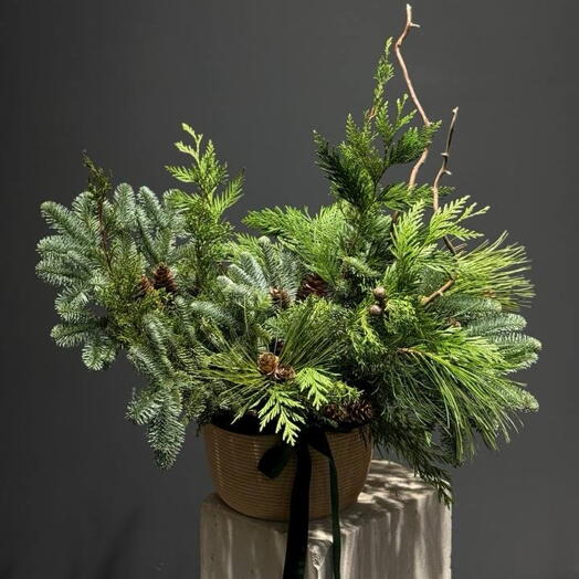 Новогодняя композиция 7 видов хвои