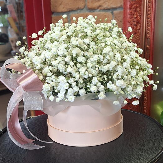 Нежная коробочка с гипсофилой