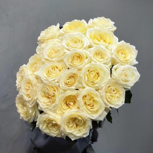 Пионовидные ароматные розы под лентой