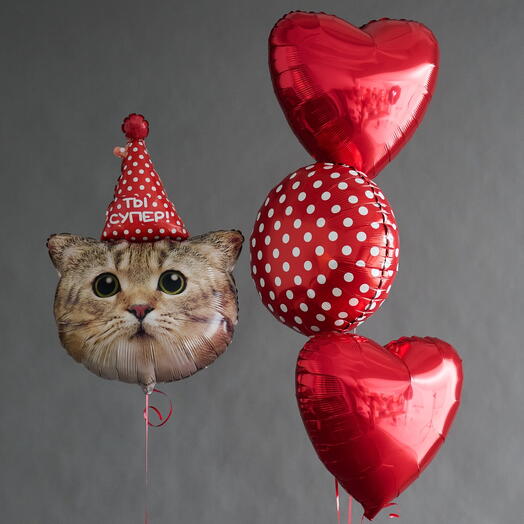 Набор шаров котик с сердечками «На День Рождения!»