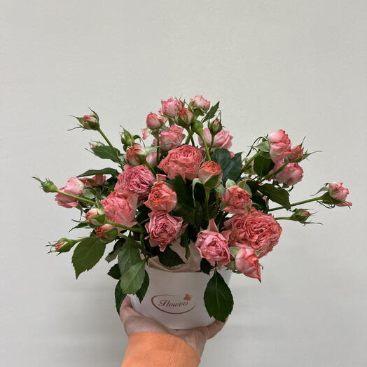 Roses in a box