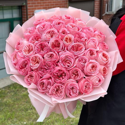ТОП 51 Роза Pink Expression Премиум 💗