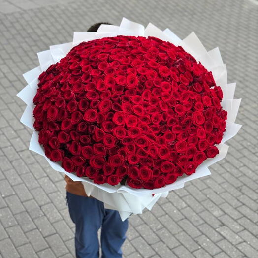 Королевский букет из 301 розы