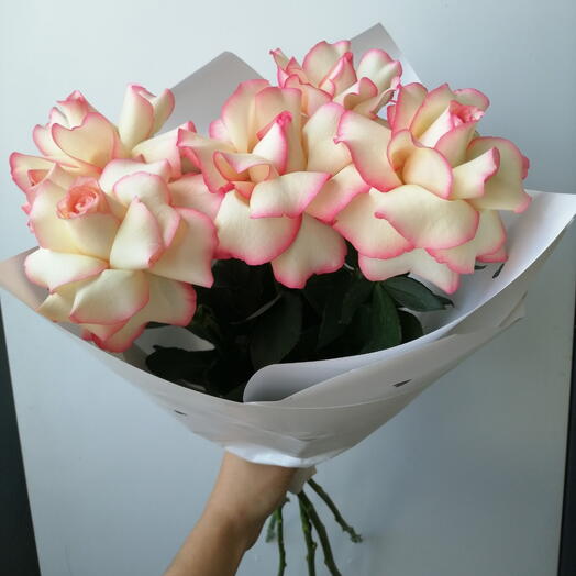 5 бело-розовых французских роз
