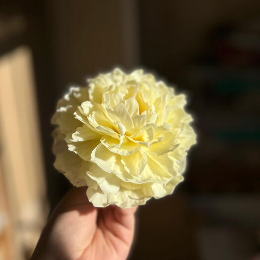 Candle - yellow peony 💛
