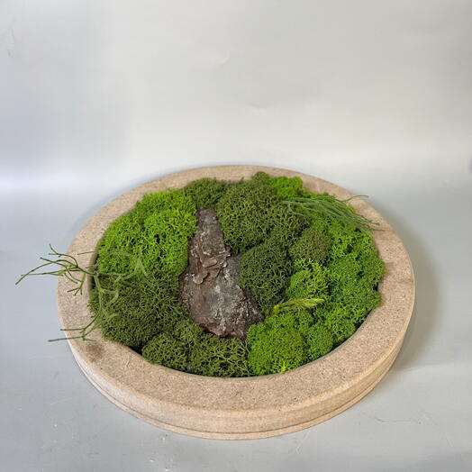 Панно из стабилизированного мха