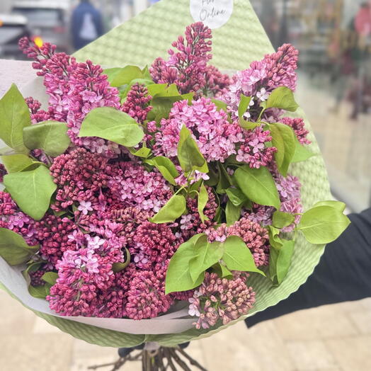 Lilac
