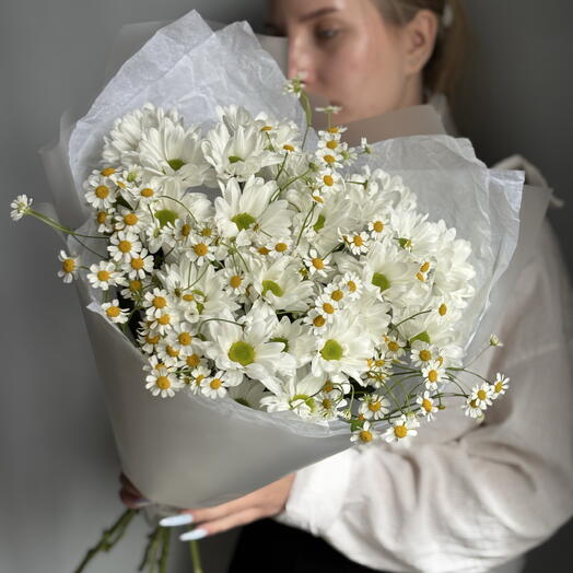 Моно букет ромашек S